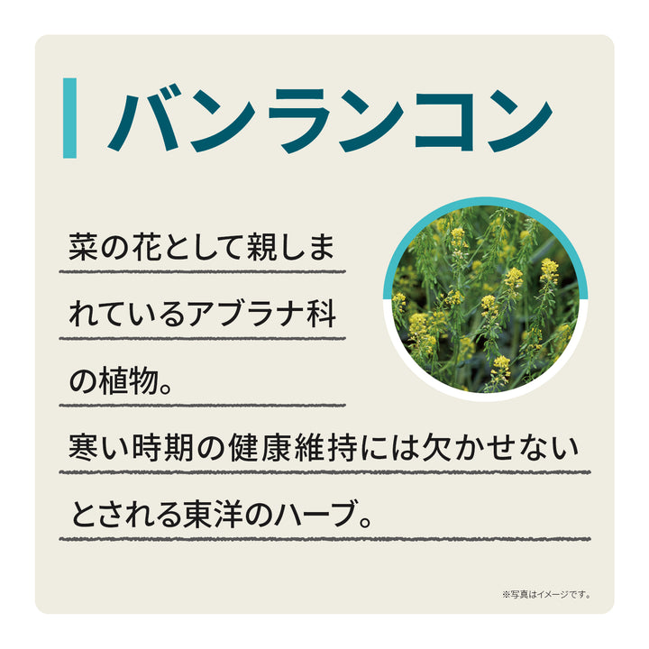 エキナケアのど飴