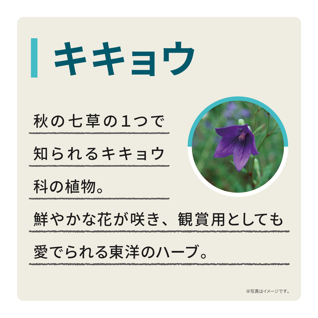 エキナケアのど飴