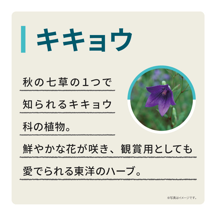 エキナケアのど飴