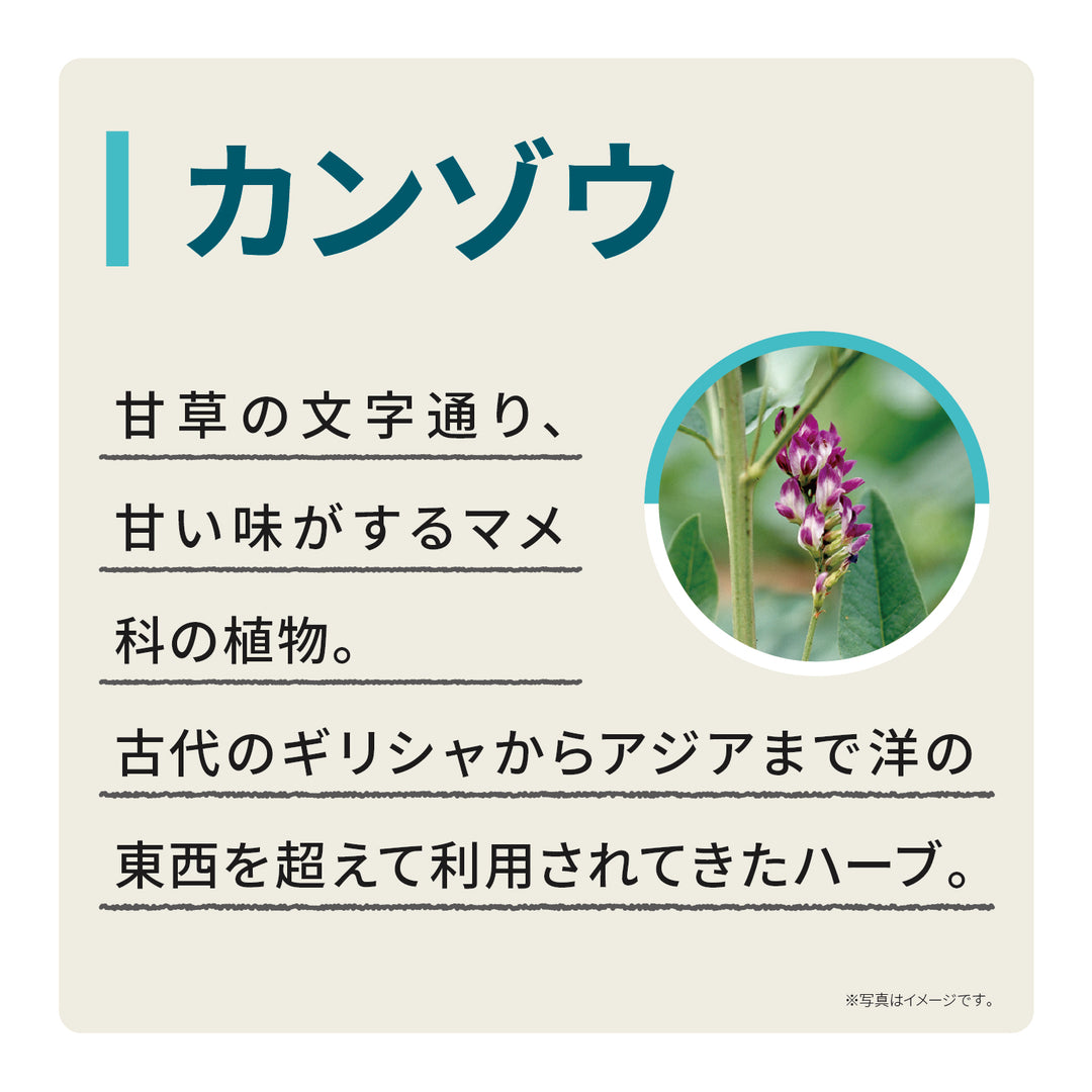 エキナケアのど飴