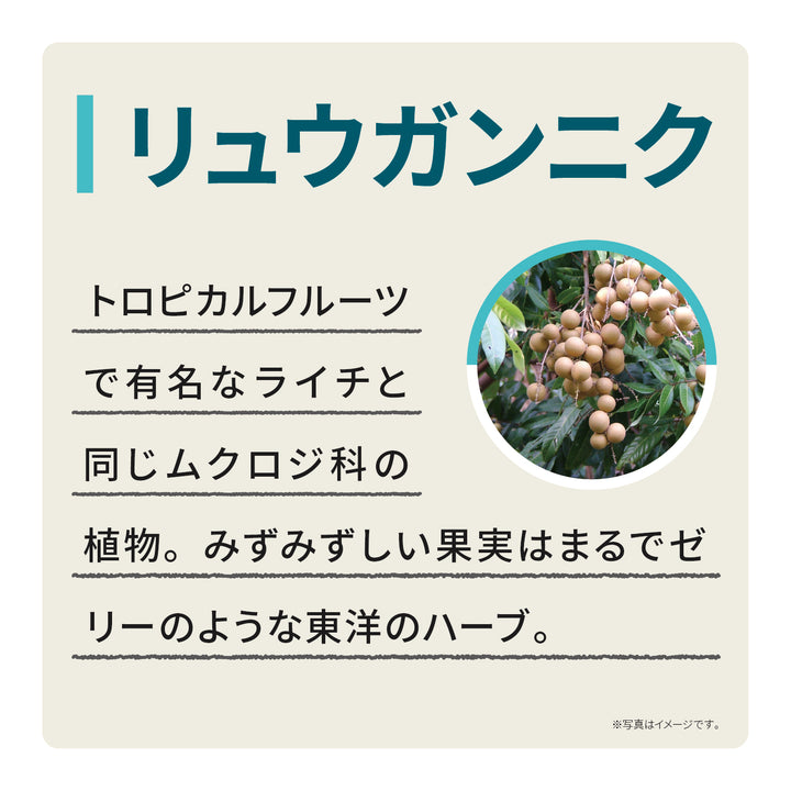 エキナケアのど飴