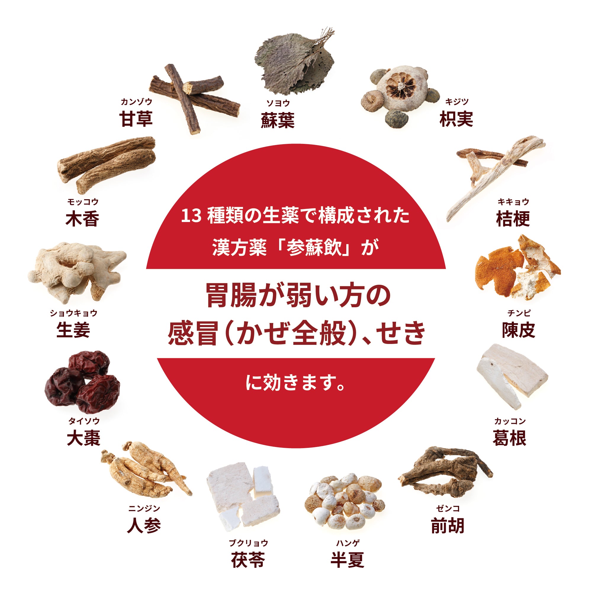 参蘇飲エキス〔細粒〕97【松浦薬業 公式オンラインストア】 – 漢方なごや花